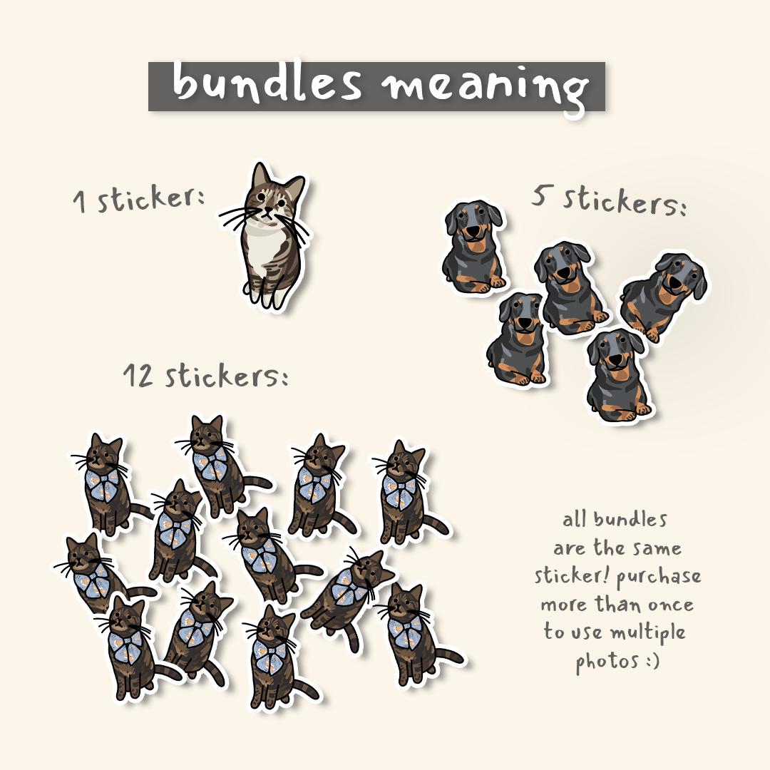 Custom Pet Stickers (Bulk Order)