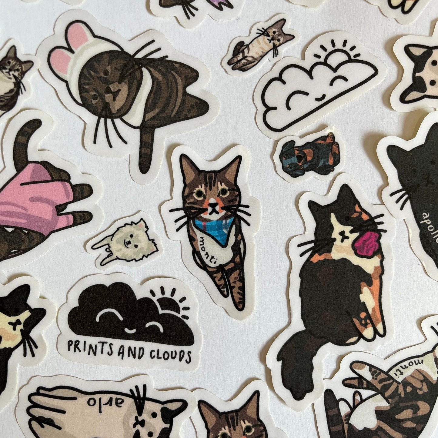 Custom Pet Stickers (Bulk Order)