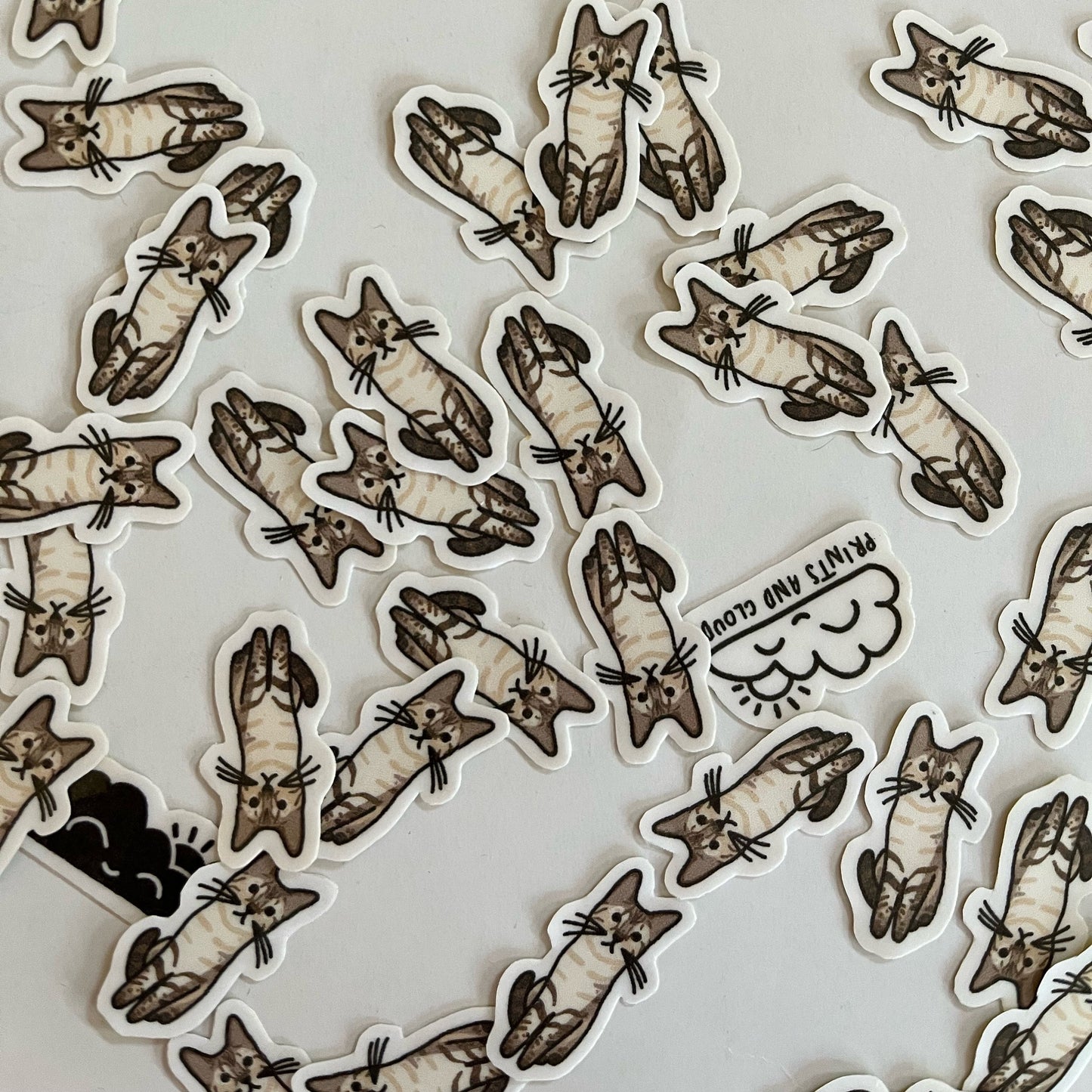 Custom Pet Stickers (Bulk Order)