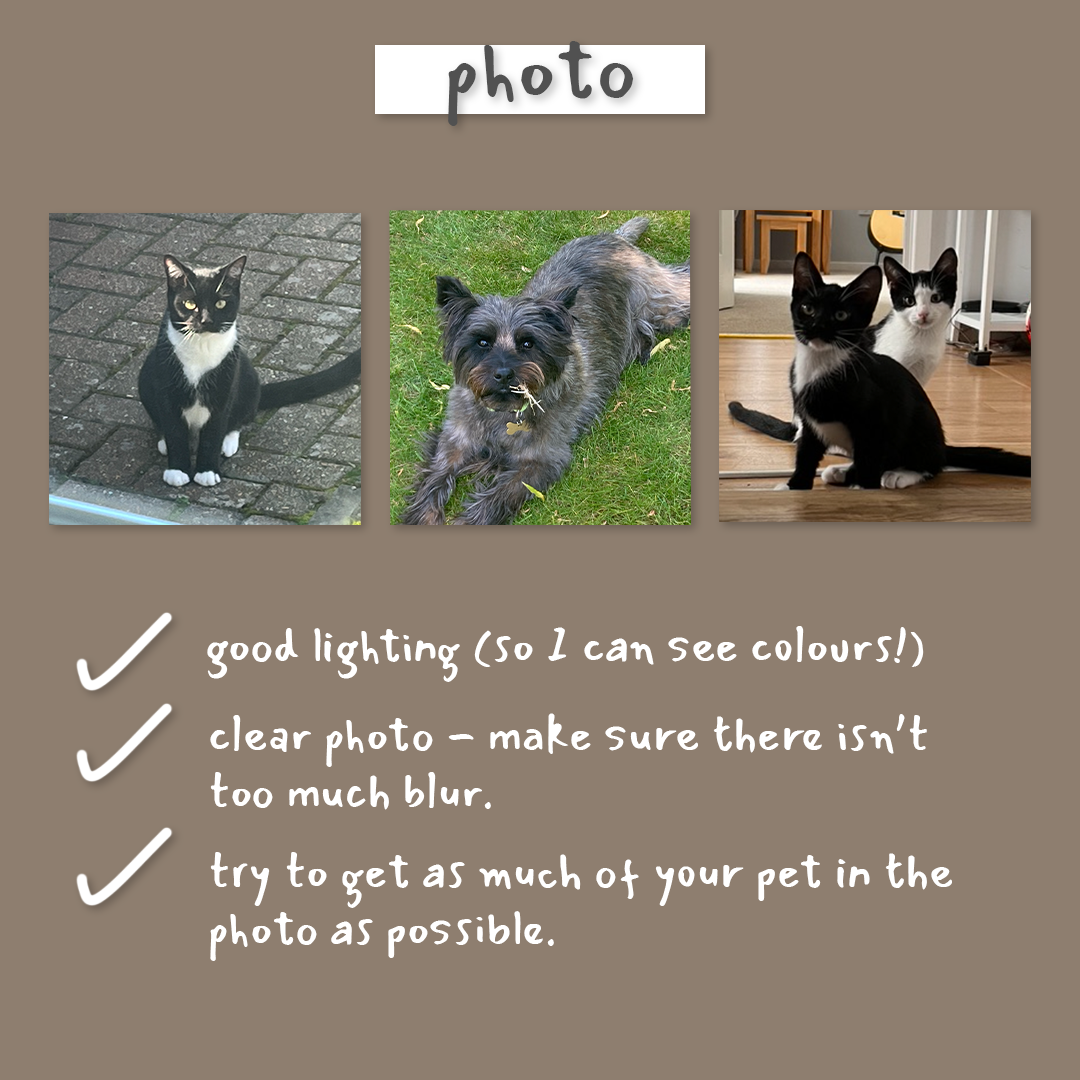 Custom Pet Head T-Shirt