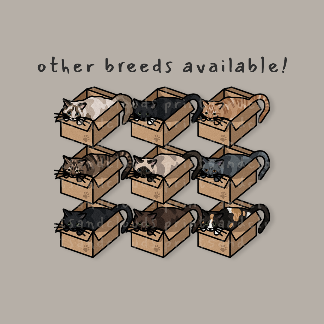 Ragdoll Cat in a Box Sticker