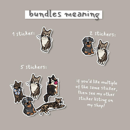 Custom Pet Stickers