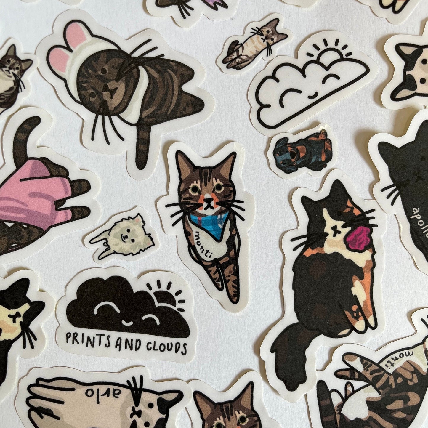 Custom Pet Stickers