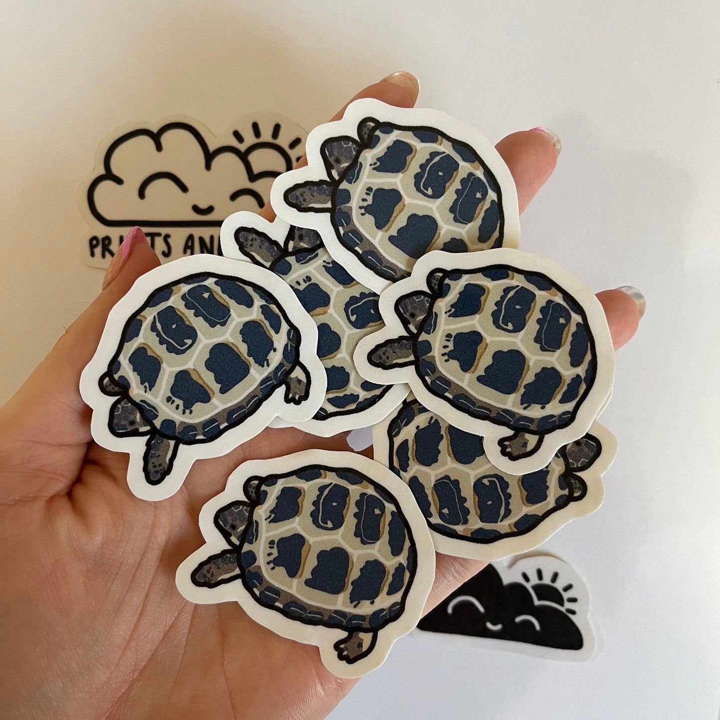 Custom Pet Stickers