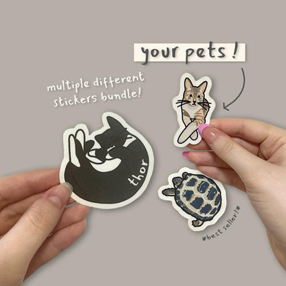 Custom Pet Stickers