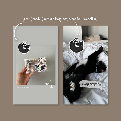 Custom Pet Digital Sticker/Overlay PNG file