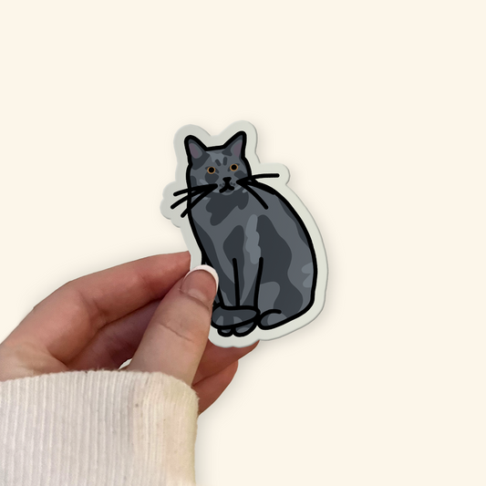 Grey British Shorthair Cat Sitting Sticker