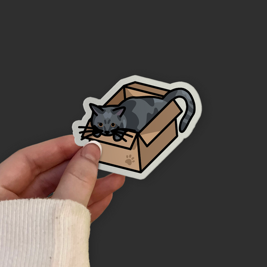 Grey British Shorthair Cat in a Box Sticker