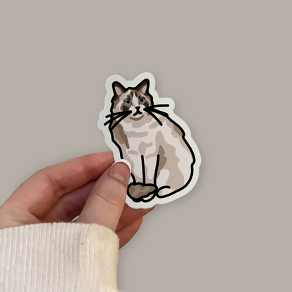 Ragdoll Cat Sitting Sticker