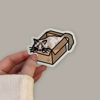 Ragdoll Cat in a Box Sticker