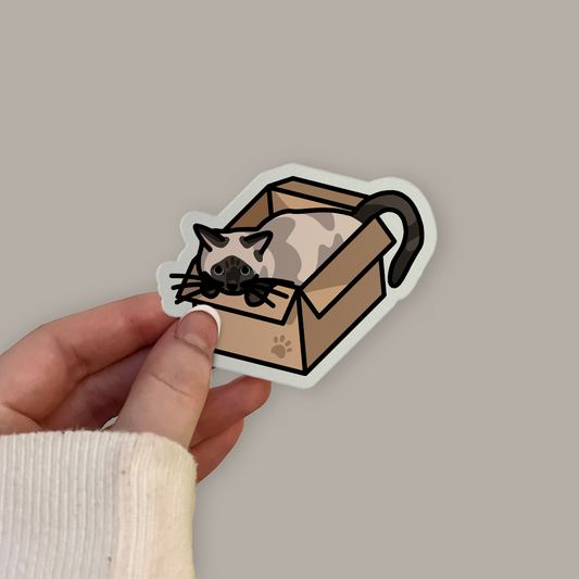 Siamese Cat in a Box Sticker