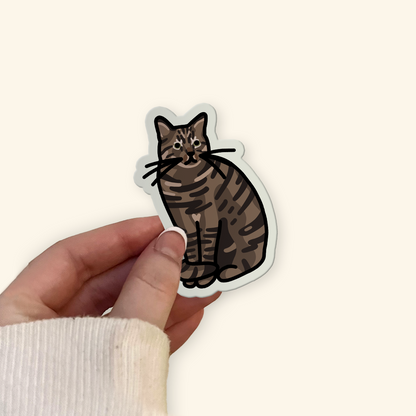 Tabby Cat Sitting Sticker