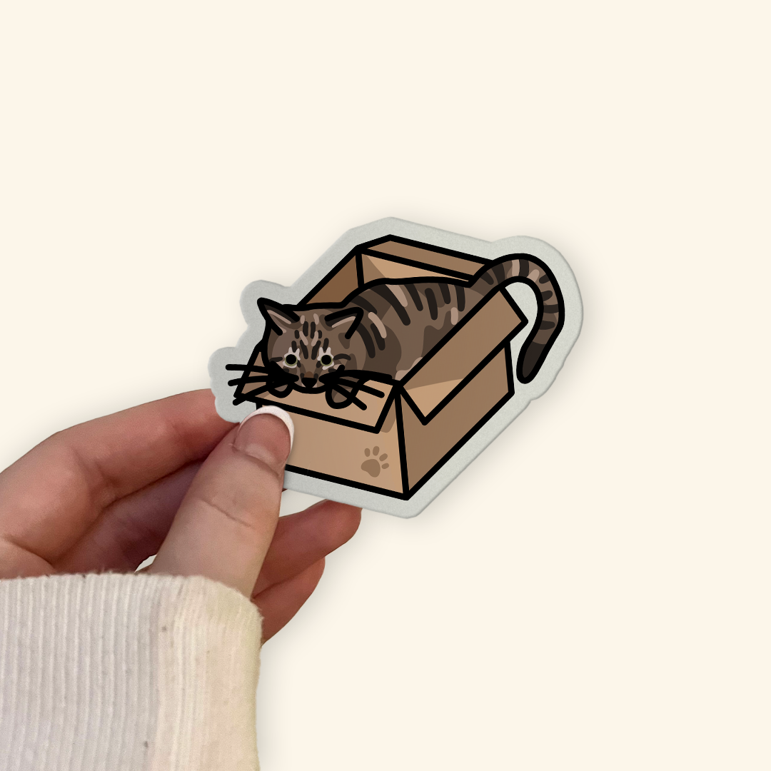 Tabby Cat in a Box Sticker